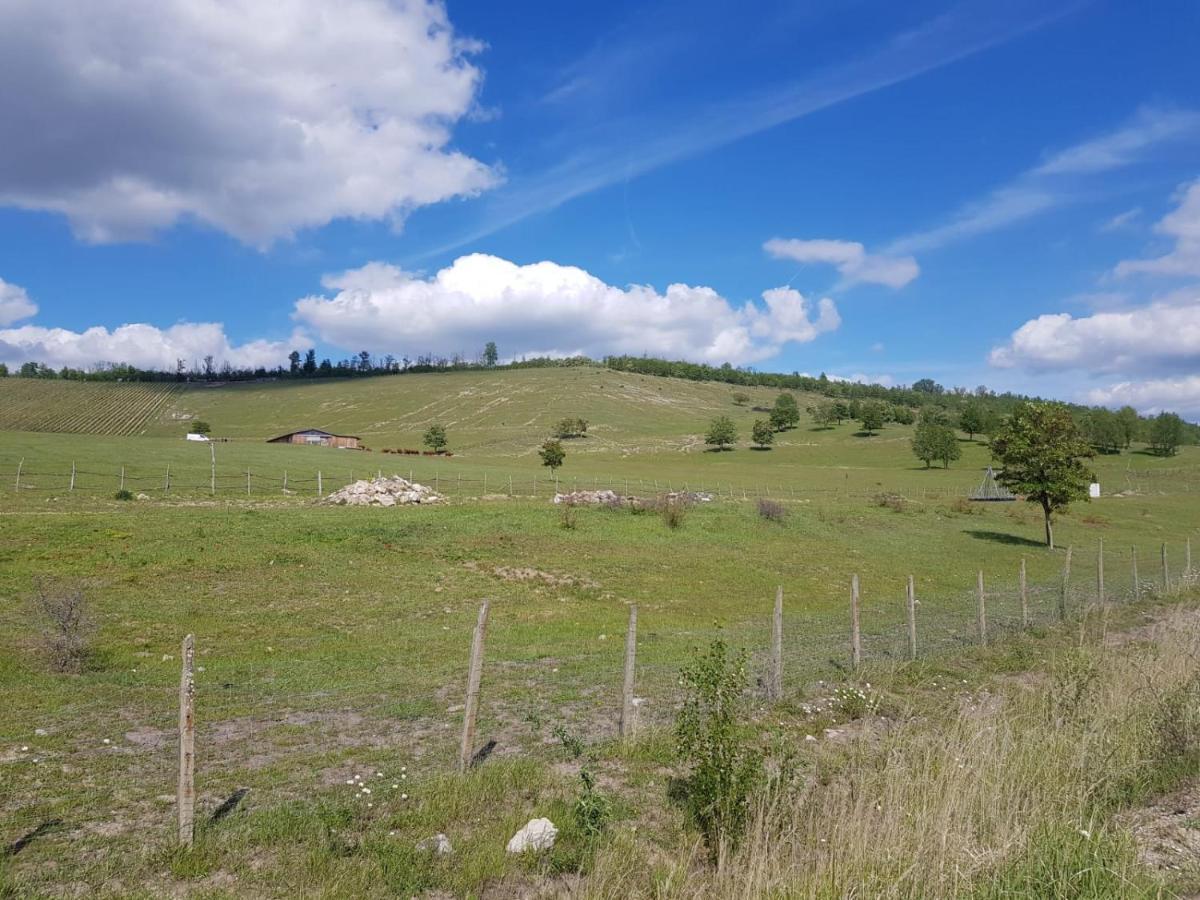 Warias Hotel & Restaurant Braunsbedra Zewnętrze zdjęcie